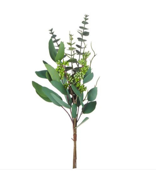 Bouquet d'eucalyptus